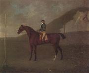 John Nost Sartorius 'Creeper' a Bay colt with Jockey up at the Starting post at the Running Gap in the Devils Ditch,Newmarket oil painting picture wholesale